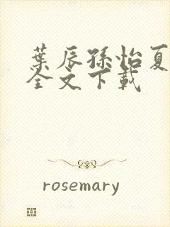 叶辰孙怡夏若雪全文下载