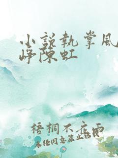 小说执掌风云萧峥陈虹