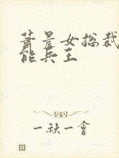 萧晨女总裁的全能兵王