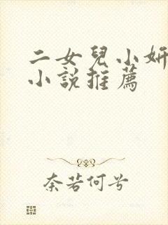 二女儿小妍系列小说推荐