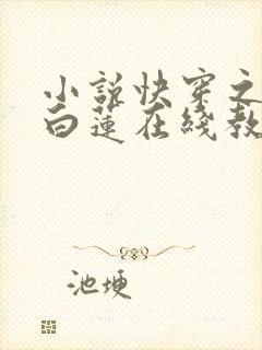 小说快穿之绝美白莲在线教学免费看