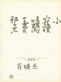 邪王嗜宠小萌妃免费阅读