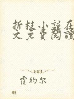 折枝小说在线全文免费阅读无弹窗