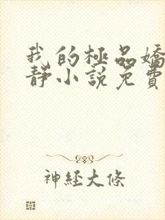 我的极品娇妻白静小说免费阅读