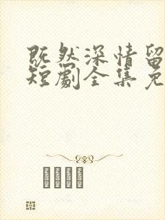 既然深情留不住短剧全集免费观看