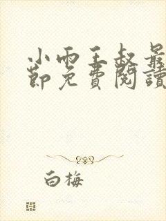 小雨王叔最新章节免费阅读