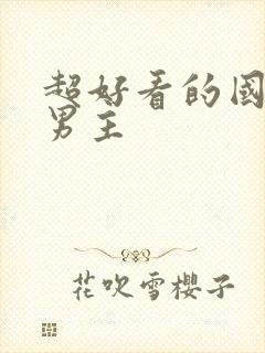 超好看的国漫双男主