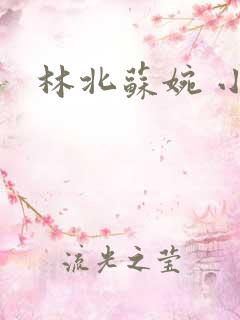 林北苏婉 小说
