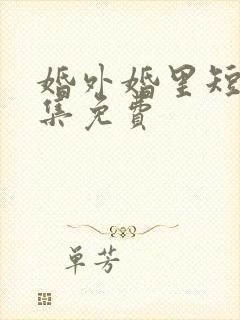 婚外婚里短剧全集免费