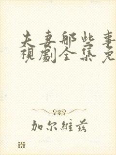 夫妻那些事儿电视剧全集免费观看