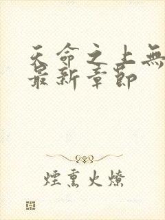 天命之上无弹窗最新章节