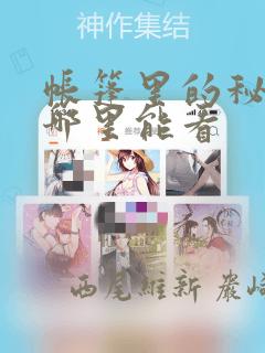 帐篷里的秘密在哪里能看