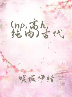 (np,高h,纯肉)古代