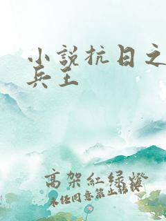 小说抗日之特战兵王