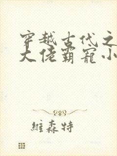 穿越古代之末世大佬霸宠小夫郎