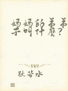 妈妈的弟弟的儿子叫什么?