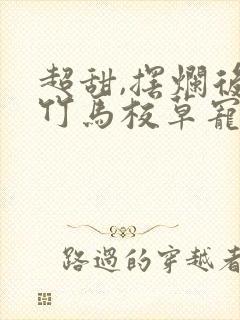 超甜,摆烂后被竹马校草宠爆了全文免费阅读