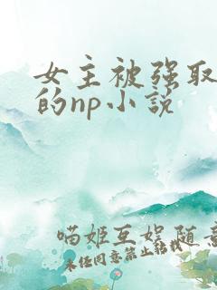 女主被强取豪夺的np小说