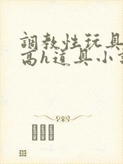 调教性玩具np高h道具小说