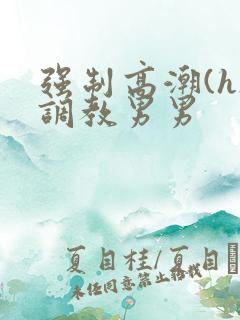 强制高潮(h)调教男男