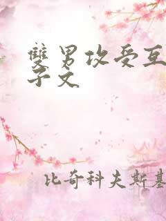 双男攻受互攻生子文