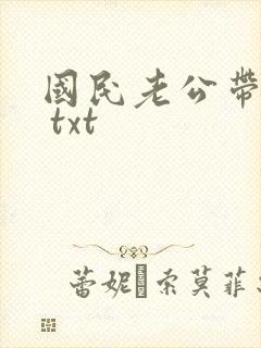 国民老公带回家 txt