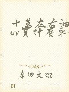 十万左右油车suv买什么车好