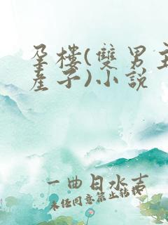 孕楼(双男主,产子)小说