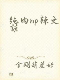 纯肉np辣文小说