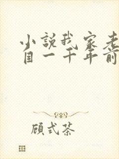 小说我家老婆来自一千年前全文免费阅读