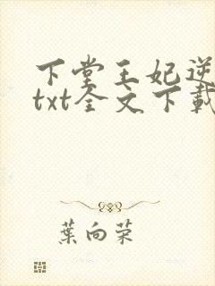 下堂王妃逆袭记txt全文下载