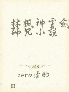 林枫神霄剑宗大师兄小说