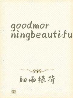 goodmorningbeautiful中文歌词大意