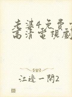 老婆4免费完整高清电视剧在线观看