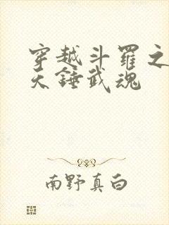 穿越斗罗之双昊天锤武魂