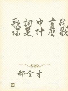 歌词中有我在等你是什么歌