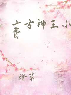十方神王小说免费