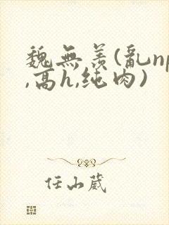 魏无羡(乱np,高h,纯肉)