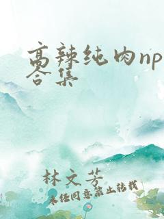 高辣纯肉np文合集