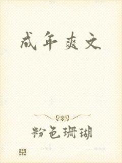 成年爽文