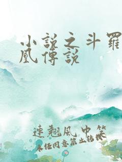 小说之斗罗之龙凰传说