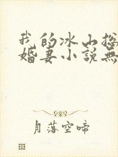 我的冰山总裁未婚妻小说无弹窗