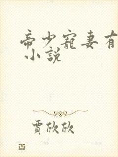 帝少宠妻有点甜 小说