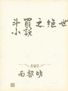 斗罗之绝世唐门小说