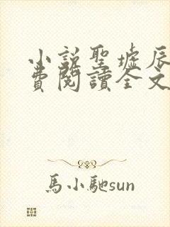 小说圣墟辰东免费阅读全文无窗口