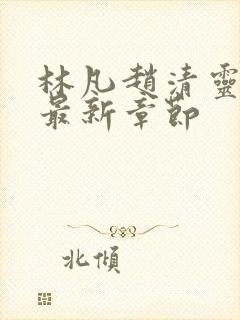 林凡赵清灵小说最新章节