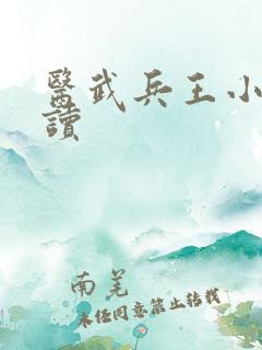 医武兵王小说阅读