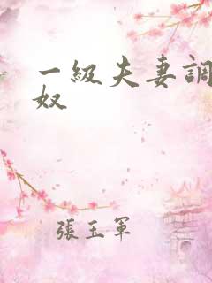 一级夫妻调教男奴