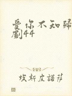 爱你不知归途短剧44