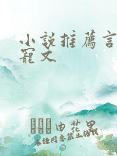 小说推荐言情甜宠文